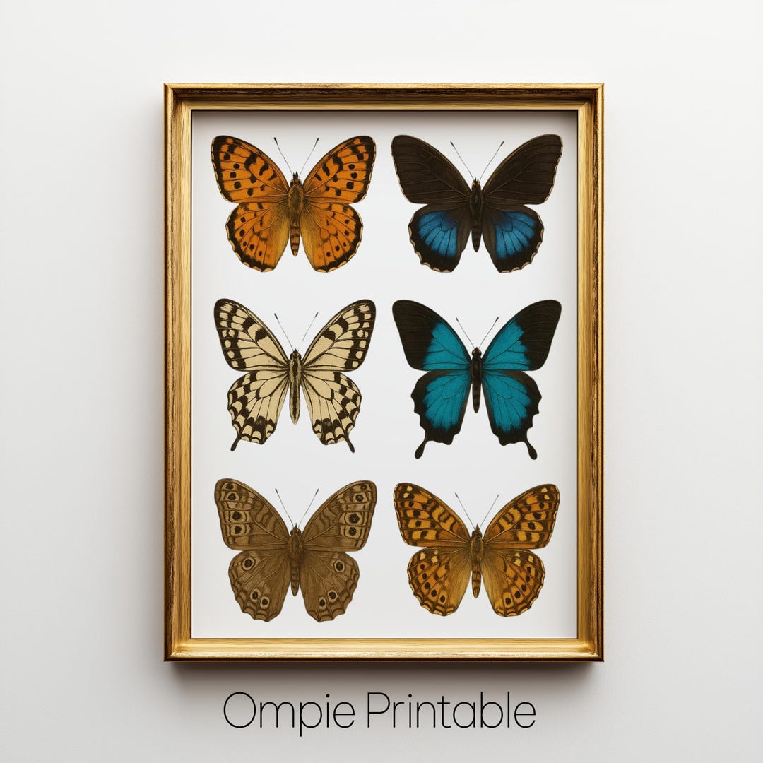 Vintage Butterfly Print, Cute Preppy Dorm Room Wall Art, Aesthetic ...