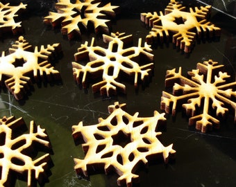 Snowflake Ornaments set of 10