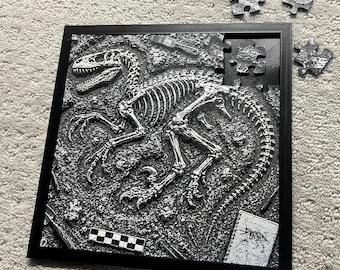 Velociraptor-fossielpuzzel - 3D-geprint dinosaurusskelet - Paleontologische fossielenopgravingspuzzel - Educatief dinosauruscadeau