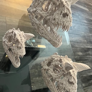 Carnotaurus Skull 3D Printed - Articulated Jaw Dinosaur Skull - Fossil Display Decor - Paleontology Gift - Carnotaurus Replica Sculpture