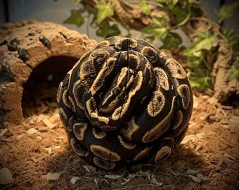 Realistic Ball Python Fidget Toy – Articulated Snake Desk Toy Display – 3D Printed Collectible Ball Python Snake Sculpture - Realistic Snake