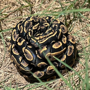 May include: A coiled, articulated snake figurine featuring a black base color with vibrant yellow and brown blotched patterns across its segmented body. The object is constructed from multiple interlocking pieces that allow for flexible movement.