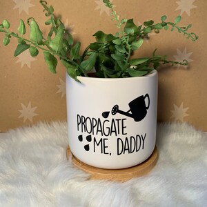 Propagate Me, Daddy Pot, Ceramic Pot with Tray