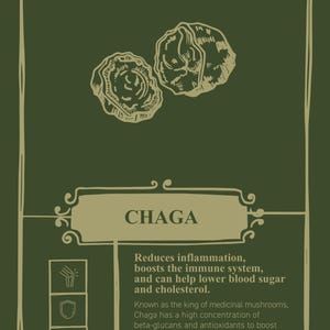 Chaga Mushroom Dual Extract Mushroom Tincture