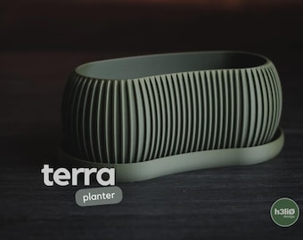 Modern Minimalist 3D Printed Succulent Planter with Drip Tray- Terra Design