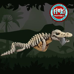 Articulated Skeleton Mosasaurus with optional stand two sizes available (made to order)