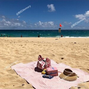 May include: A beach scene with a red and white checkered picnic blanket, a matching tote bag, a straw visor, and a pink box labeled "Leonard's". The ocean and blue sky are in the background.