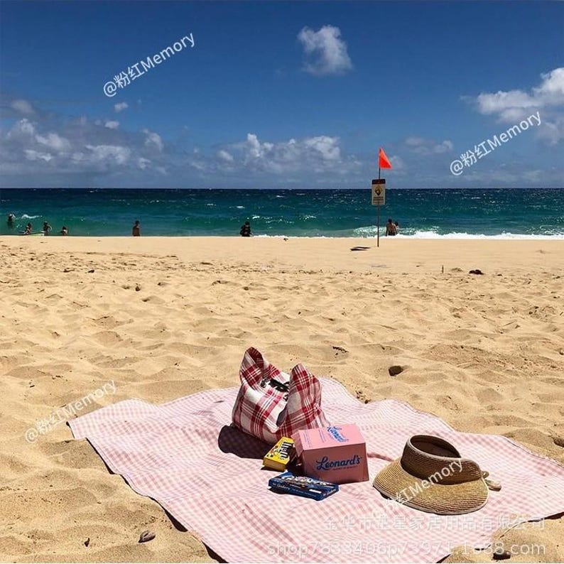 May include: A beach scene with a red and white checkered picnic blanket, a matching tote bag, a straw visor, and a pink box labeled "Leonard's". The ocean and blue sky are in the background.