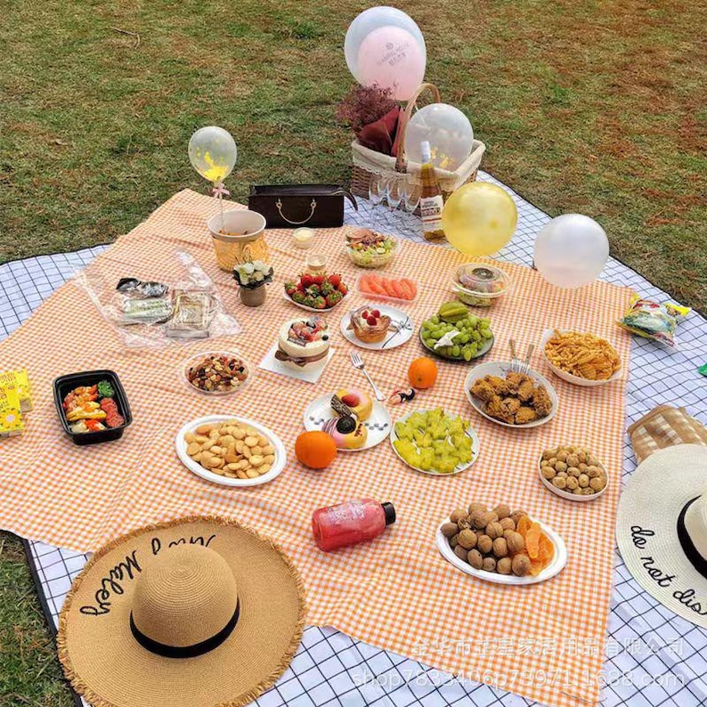 May include: A picnic scene on a checkered orange and white blanket, featuring various foods like fruits, pastries, and snacks. Includes a straw hat, balloons, and a picnic basket. The scene is set on a grassy area.