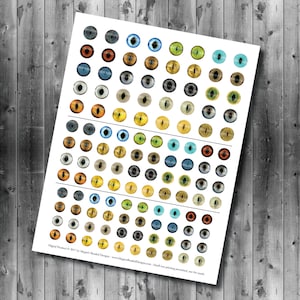 Chat réaliste les yeux - feuille de Collage numérique - imprimable Cat Eyes - 10mm 8mm 6mm inclus - plusieurs tailles
