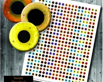 8mm Realistic Owl Bird Eye Round Images - Digital Collage Sheet - Printable Animal Fowl - 0.3 inches - Yellow Orange Blue Brown Tan