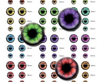 Teddy Bear Eyes Digital Collage Sheet of 12 Designs Sizes 18mm 14mm and 10mm Craft Taxidermy or Jewelry Making Supply Instant Download PDF