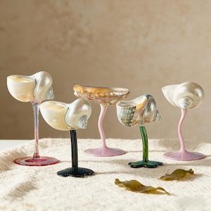 May include: A selection of seashell-shaped glasses. Each glass has a unique seashell design, with stems in various colours including pink, green, and black. The glasses are displayed on a textured white surface, creating a coastal theme.
