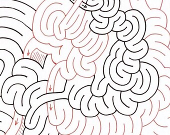 Duality Maze - Hand Drawn Digital Download