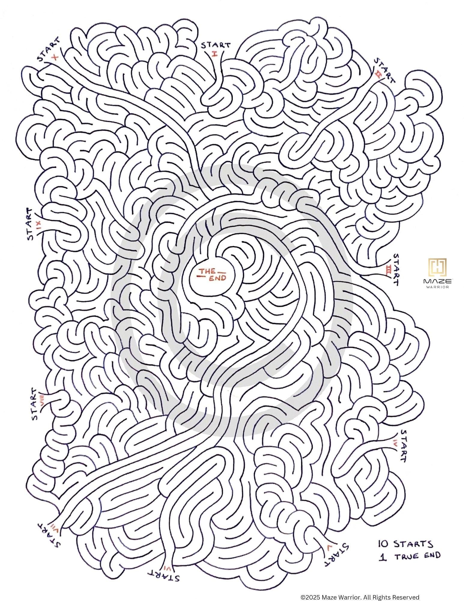 Ten Starts 1 End Maze: Hand-drawn Puzzle for Adults & Kids 11+