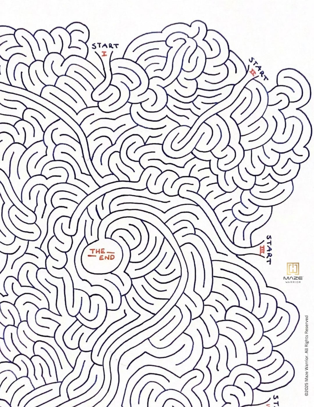 Ten Starts 1 End Maze: Hand-drawn Puzzle for Adults & Kids 11+