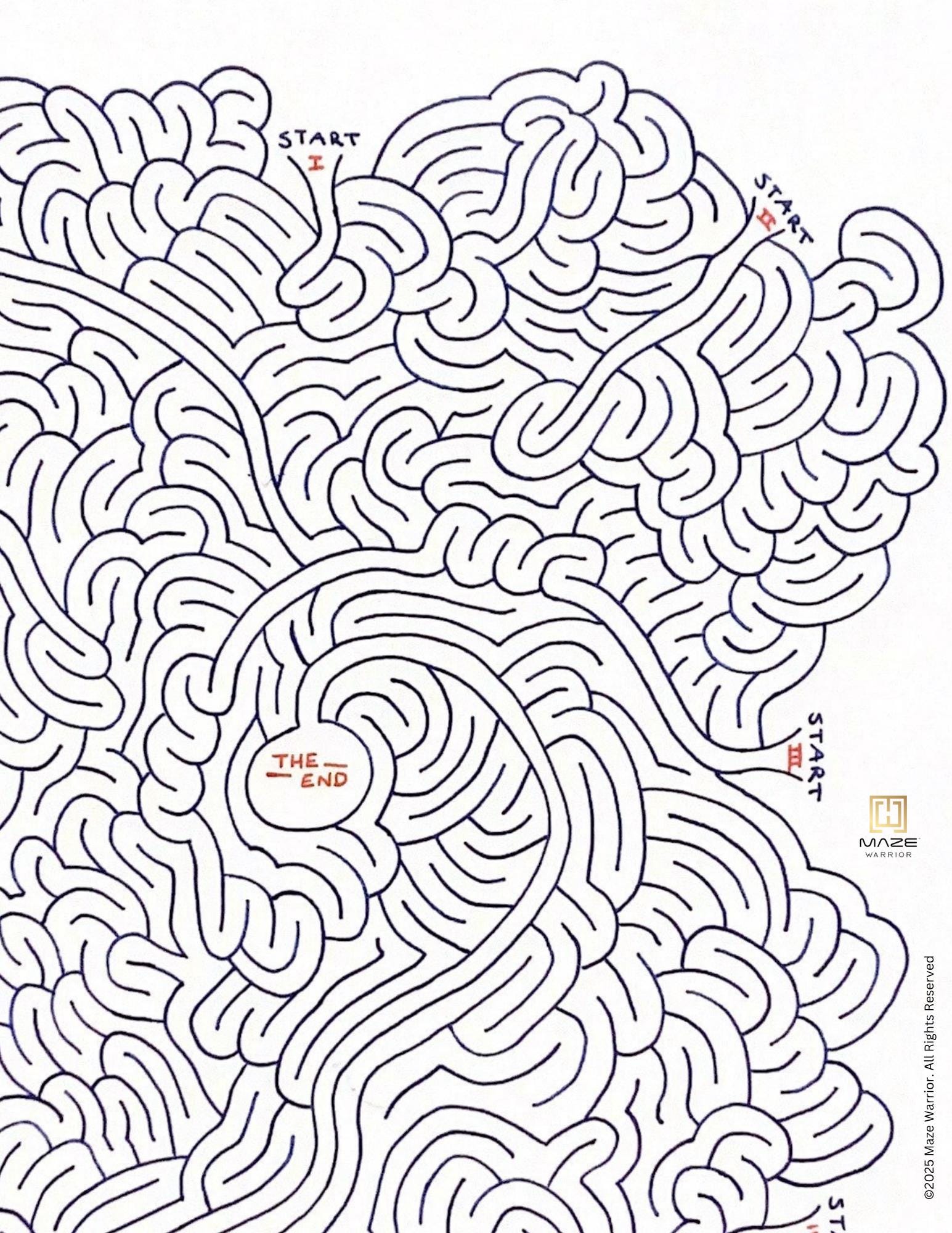 Ten Starts 1 End Maze: Hand-drawn Puzzle for Adults & Kids 11+