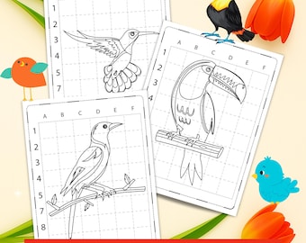 How to Draw Birds for Kids – 162-Page Directed Drawing Workbook | Easy Bird Drawing PDF, Learn to Draw, Teaching Resource, Classroom Art
