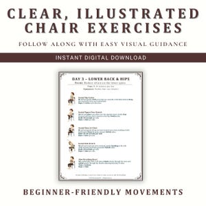 May include: A digital download titled "Clear, Illustrated Chair Exercises" with instructions for beginner-friendly movements. The image shows exercises to reduce strain on the lower spine, including seated hip circles and figure-four stretches.