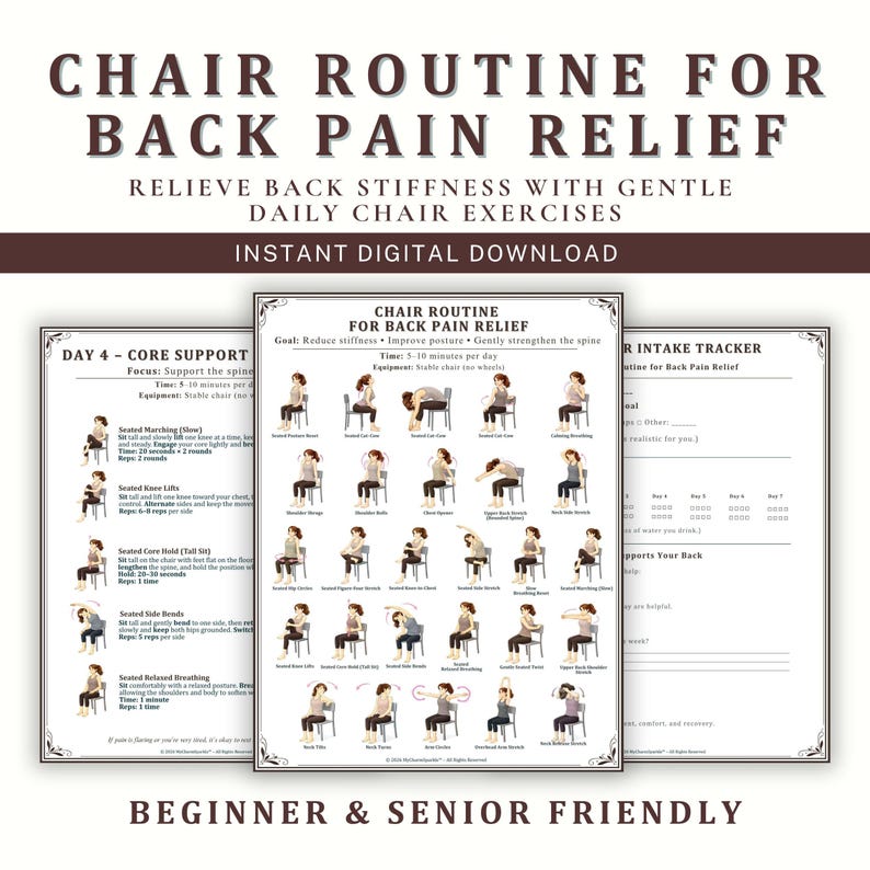 May include: A digital download titled "Chair Routine for Back Pain Relief." The image displays a series of exercises designed to relieve back stiffness with gentle daily chair exercises. The text also includes "Beginner & Senior Friendly."