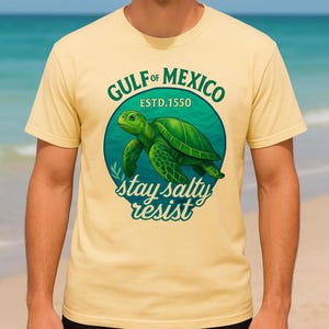 Gulf of Mexico Sea Turtle T-Shirt | Stay Salty Resist | Ocean Activist Graphic Tee