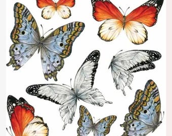 Mountain Butterfly Stickers - Small Realistic Butterflies Sticker Sheet - Crafts, Stationery, and Journals