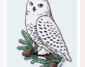 Snowy Owl Sticker - Nature Waterproof Vinyl Decal - Stationery, Scrapbooks, and Crafts