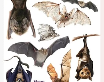 Bat Stickers - Half-Size Realistic Bats Sticker Sheet - Spooky Animals - Crafts, Scrapbooks, Stationery, and Journals