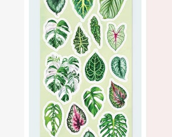 Monstera Leaf Stickers - Plant Leaves Sticker Sheet - Crafts, Stationery, Scrapbooks, & Planners