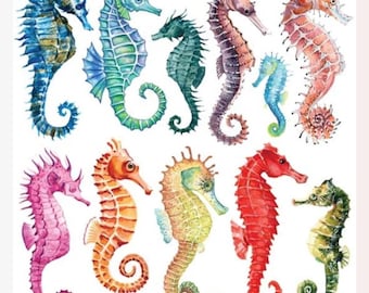 Seahorse Stickers - Half-Size Colorful Seahorses Sticker Sheet - Vibrant Ocean Animals - Scrapbooks, Journals, and Crafts