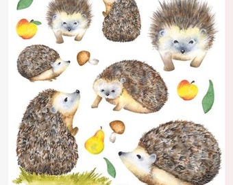Hedgehog Stickers - Half-Size Woodland Animal Sticker Sheet - Crafts, Gifts, Planners & Scrapbooks