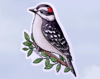 Downy Woodpecker Bird Sticker - Waterproof Vinyl Nature Decal - Scrapbooks and Crafts