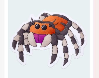 Jumping Spider Sticker - Waterproof Vinyl Nature Decal - Scrapbooks and Crafts