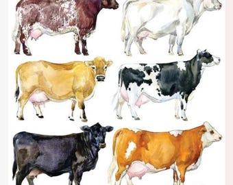 Cow Stickers - Half-Size Farm Animal Sticker Sheet - Scrapbooking, Gifts, Crafts, Planners, & Stationery