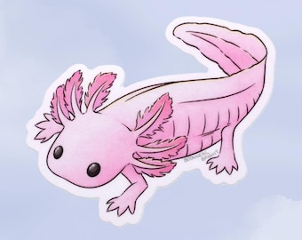 Axolotl Sticker - Waterproof Vinyl Nature Decal - Scrapbooking and Crafts