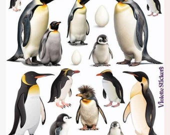 Penguin Stickers - Half-Size Realistic Arctic Animal Sticker Sheet - Crafts, Stationery, Journals, & Diaries