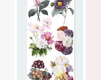 Elegant Flower Stickers - Floral & Garden Sticker Sheet - Crafts, Scrapbooking, and Stationery