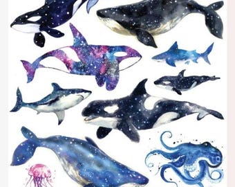 Whale Stickers - Half-Size Sea Life & Ocean Sticker Sheet - Orca, Shark, and Octopus - Crafts and Planners