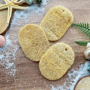 Set Of 3 All Natural Loofah Sponge Double Layer, Natural Loofah, Bathroom, Plastic-Free, Earth Friendly, Zero Waste Exfoliating Skin Care