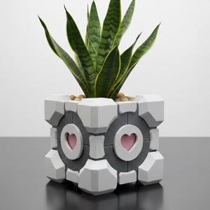 Può includere: Una fioriera geometrica bianca e grigia con un design a cuore rosa, che contiene una pianta del serpente con foglie a strisce verdi e gialle. La fioriera è riempita di piccoli ciottoli marrone chiaro.