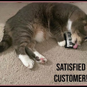May include: A gray and white cat is lying down on a carpet, with a small toy piano in its mouth. The cat's tongue is sticking out. The text "SATISFIED CUSTOMER!" is displayed in black font.