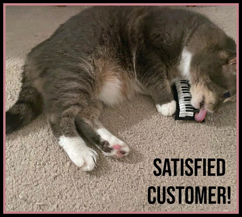 May include: A gray and white cat is lying down on a carpet, with a small toy piano in its mouth. The cat's tongue is sticking out. The text "SATISFIED CUSTOMER!" is displayed in black font.