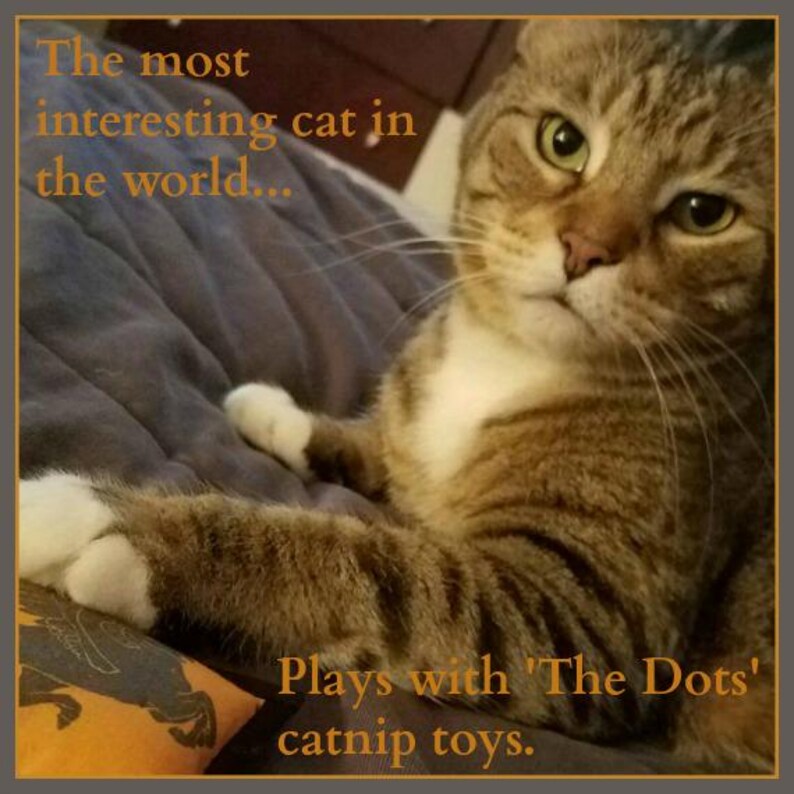 May include: A tabby cat with green eyes and a serious expression is featured in this image. Text reads, "The most interesting cat in the world... Plays with 'The Dots' catnip toys."