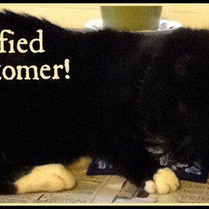 May include: A black cat with white paws and a blue bandana is lying on a newspaper. The text "Satisfied Customer!" is written in a cream-colored font above the cat.