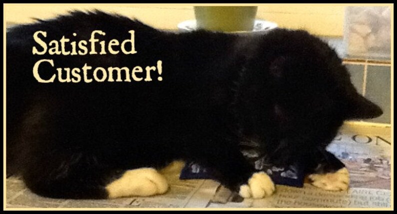 May include: A black cat with white paws and a blue bandana is lying on a newspaper. The text "Satisfied Customer!" is written in a cream-colored font above the cat.