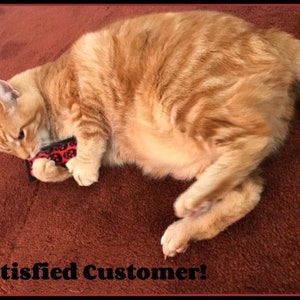 May include: An orange tabby cat lying on a brown surface, playing with a small, red and black patterned toy. The text "Satisfied Customer!" is at the bottom of the image.