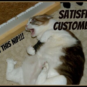 May include: A happy cat with brown and white fur is lying on its back with its mouth open. Text in the image reads "SATISFIED CUSTOMER!" and "I LUV THIS NIP!!!". The cat is near a cat scratcher.