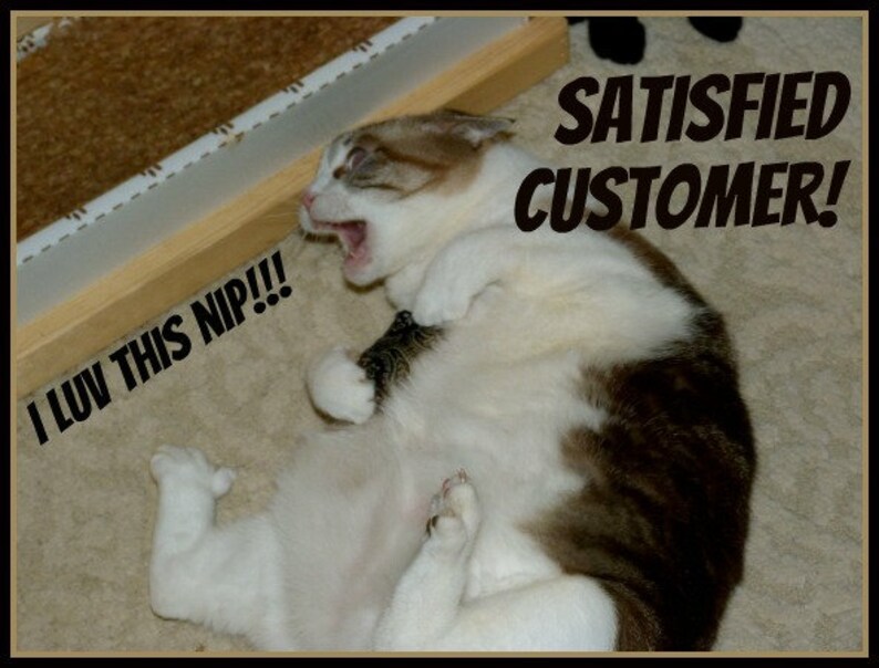May include: A happy cat with brown and white fur is lying on its back with its mouth open. Text in the image reads "SATISFIED CUSTOMER!" and "I LUV THIS NIP!!!". The cat is near a cat scratcher.
