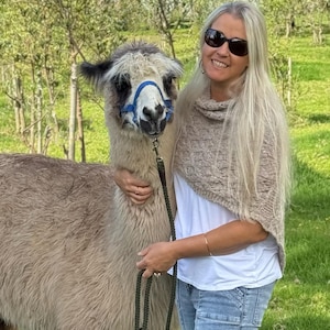 May include: A woman wearing sunglasses and a light brown sweater smiles while holding a light brown llama with a blue halter and a black leash.