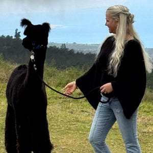 May include: A black alpaca stands on green grass, held by a leash. A person with long blonde hair and a black top is holding the leash. The background features a landscape with green hills and a cloudy sky.